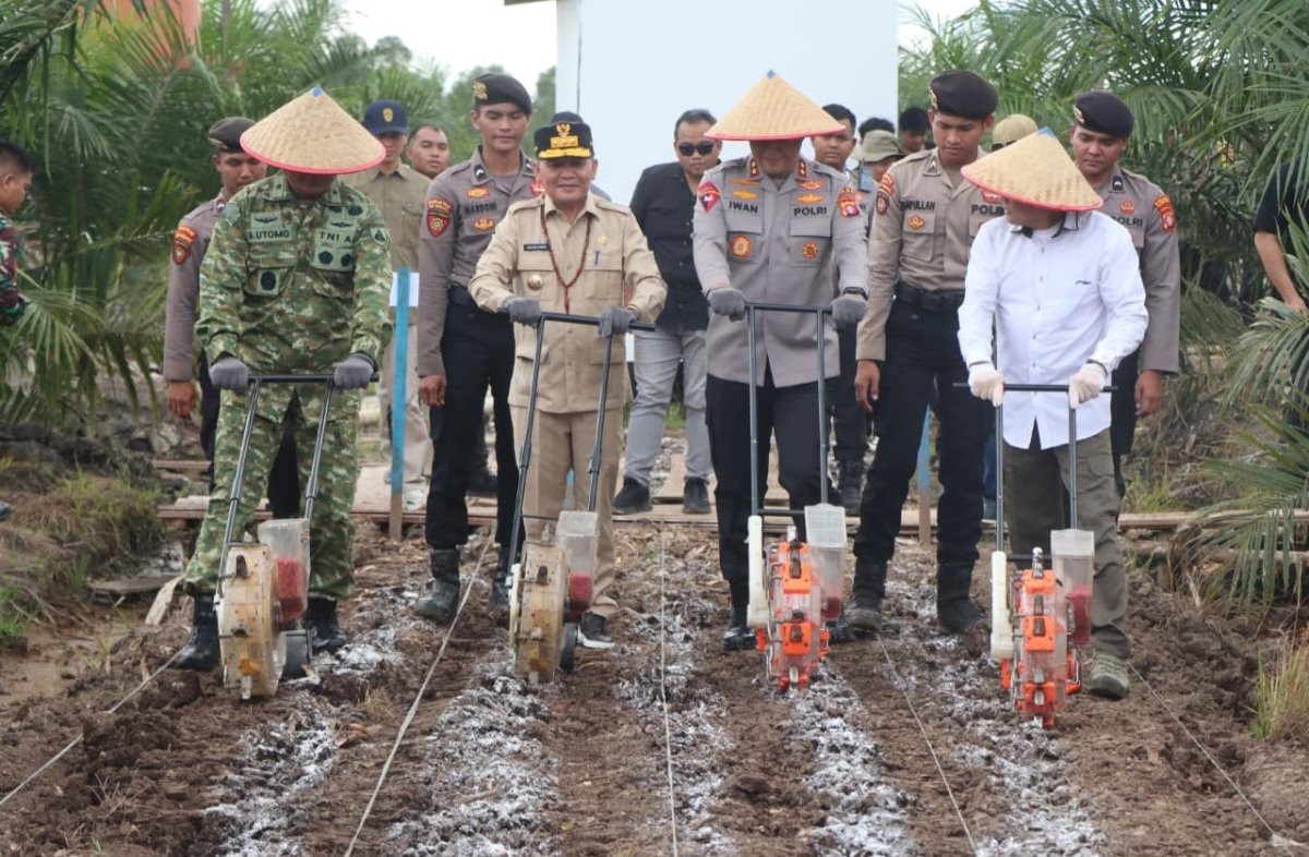 Screenshot_20260308_173753_WhatsApp